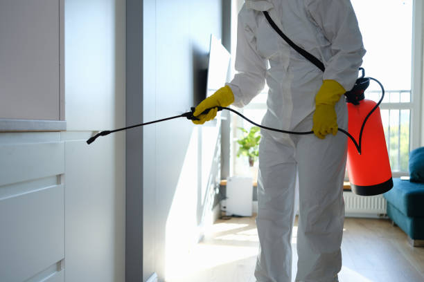 Reliable Noble, OK Mold Removal Solutions