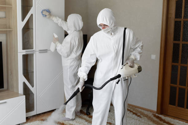 Best Toxic Mold Removal  in Noble, OK