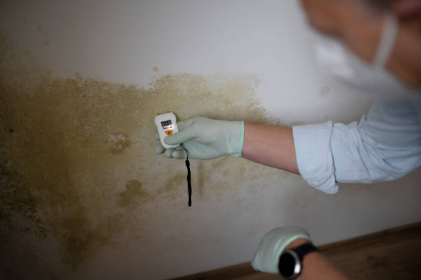 Best Mold Testing  in Noble, OK